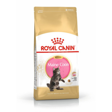 Royal Canin Maine Coon Kitten – Hrană Uscată pentru Pisici Tinere din Rasa Maine Coon – 10 kg